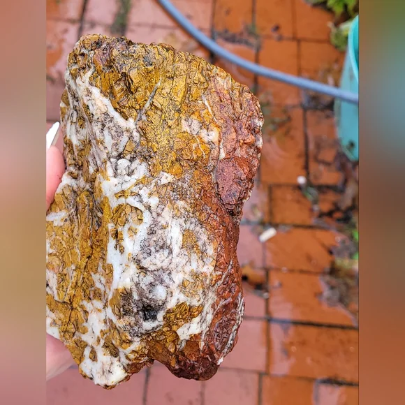 Natural Orange Red Purple Jasper Lapidary Rough Rock